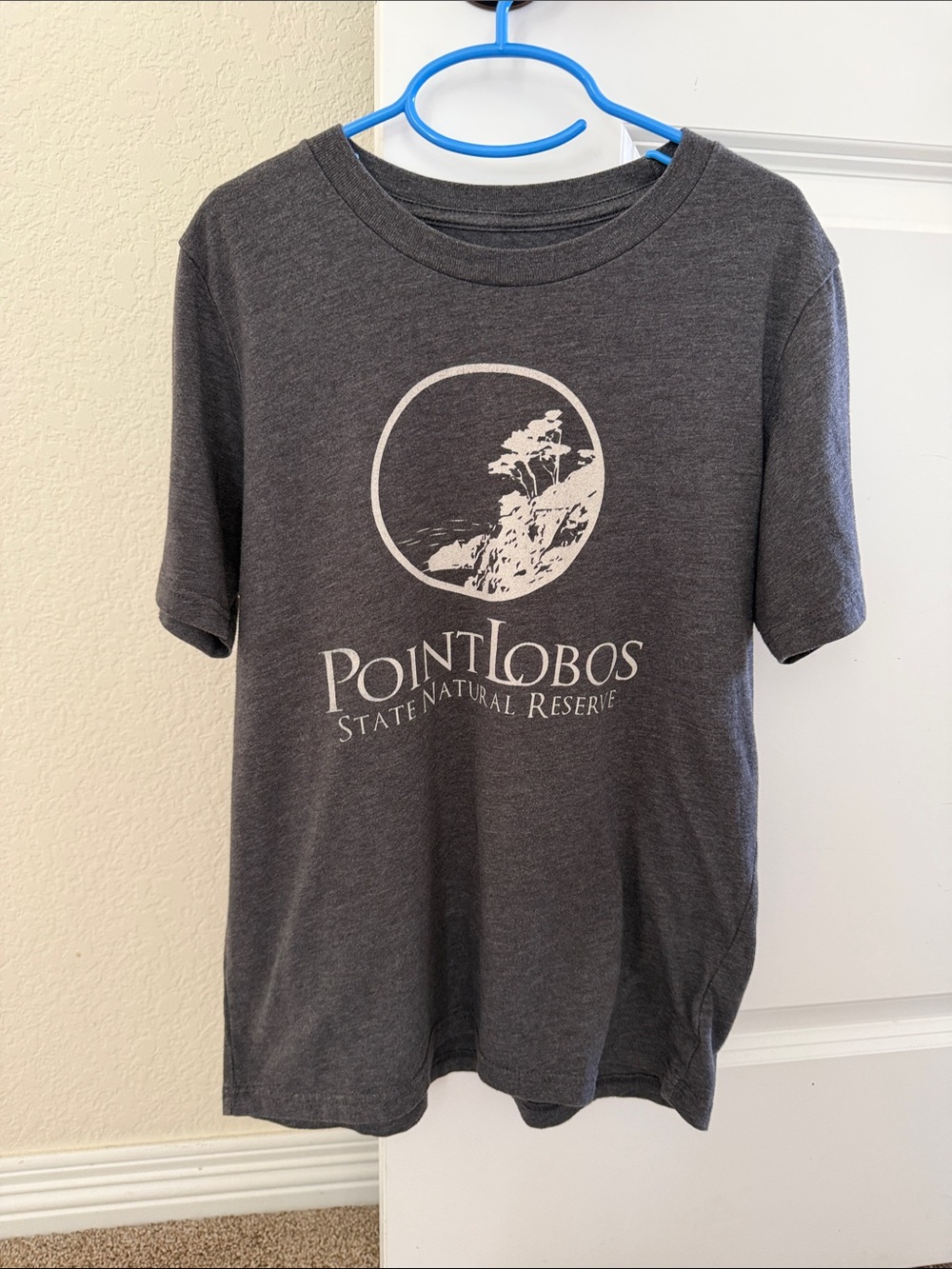 Point Lobos Graphic Tee - Gray Kid’s Short Sleeve Shirt